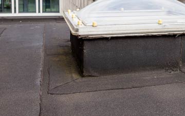 disadvantages of Fingal Street flat roofs