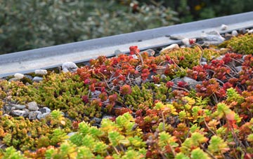 the cost of Fingal Street green roof installation