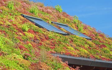 Fingal Street living roof systems