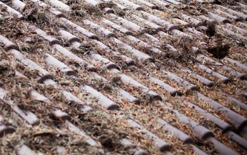 Fingal Street roof cleaning companies