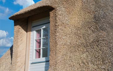 Fingal Street thatch roof disadvantages