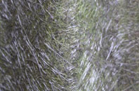 Fingal Street fibreglass roof work