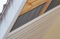 rated Fingal Street soffit repair companies